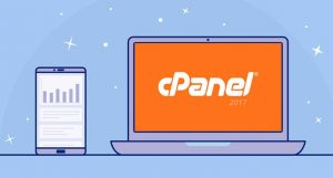 Cpanel Hosting